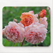 Mooie roze rozen muismat (Voorkant)