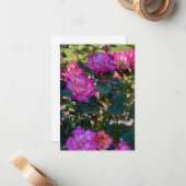 Mooie roze rozen notitiekaartje (Voorkant / Achterkant in situ)