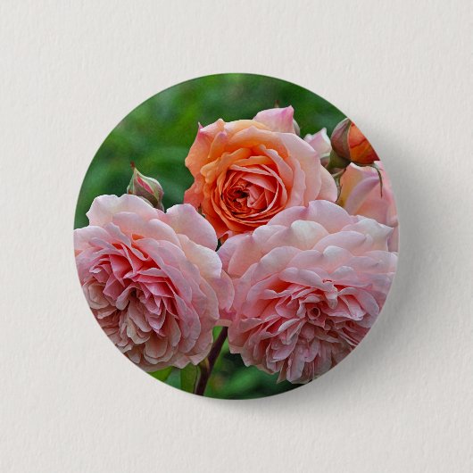 Mooie roze rozen ronde button 5,7 cm (Voorkant)