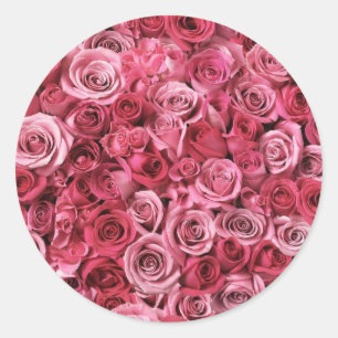 Mooie roze rozen ronde sticker