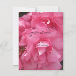 Mooie Roze Rozen RSVP Antwoordkaart Kaartje