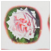 Mooie roze rozen stof (Close Up)