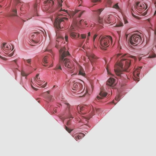 Mooie roze rozen tissuepapier (Detail)