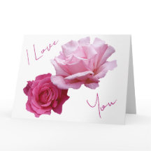 Mooie roze rozen valentine liefde mooie bloemen