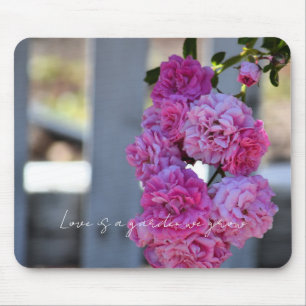 Mooie Roze Rozen Witte Hek Fotografie Muismat