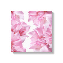 Mooie roze rozenblaadje bloemen abstract