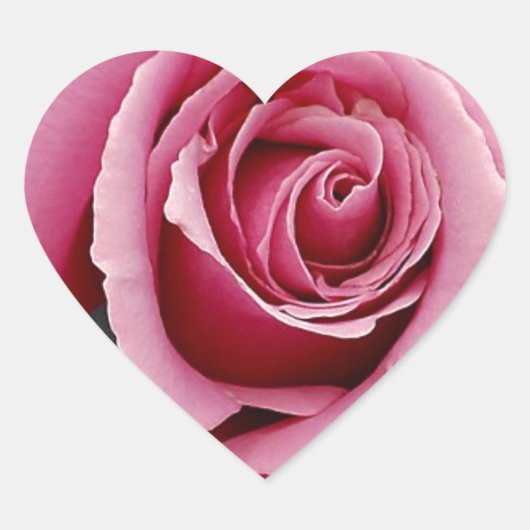 Mooie roze rozenblaadjes print hart sticker (Voorkant)