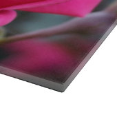 Mooie roze rozenventilator snijplank (Hoek)