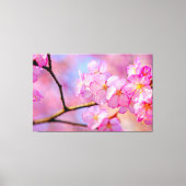 Mooie roze Sakura-bloemen in de lente Canvas Afdruk (Voorkant)