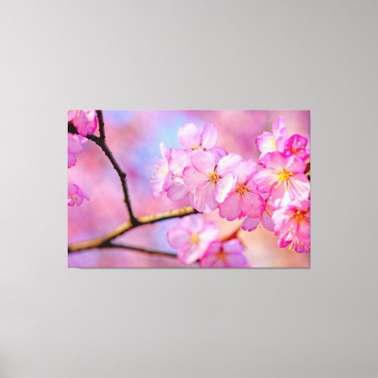 Mooie roze Sakura-bloemen in de lente Canvas Afdruk (Voorkant)