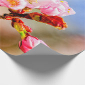 Mooie roze Sakura-bloemen op zonnige dag Cadeaupapier (Hoek)