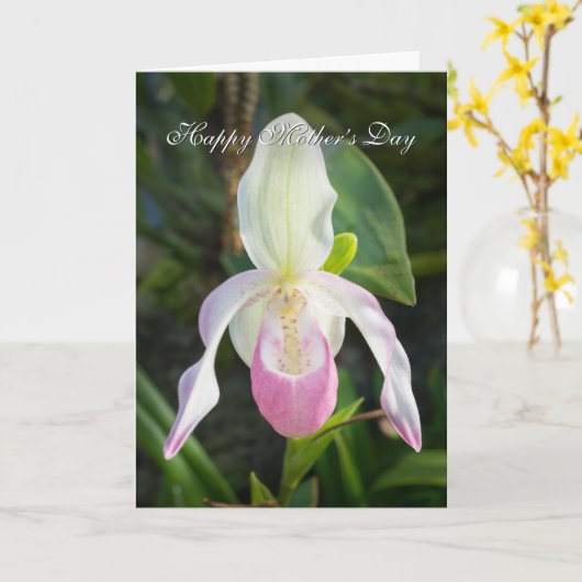 Mooie Roze Slipper Orchidee Moederdag Kaart (Gele Bloem)