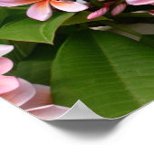 Mooie roze stekelbloem poster (Hoek)