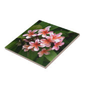 Mooie roze stekelbloem tegeltje (Zijkant)