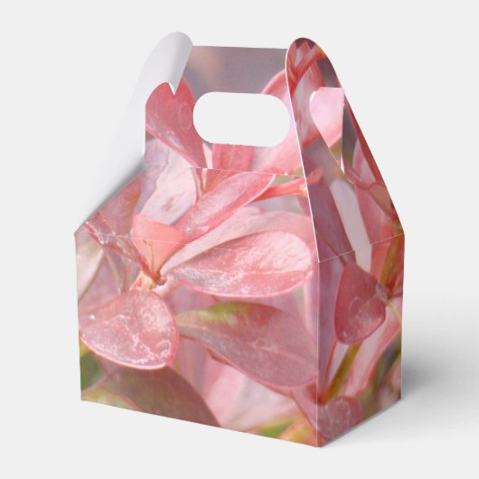 Mooie Roze Takken Bedankdoosjes (Voorkant Zijde)
