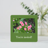 Mooie roze tuin daisy bloemen afstuderen kaart (Staand voorkant)