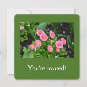 Mooie roze tuin daisy bloemen afstuderen kaart (Voorkant)