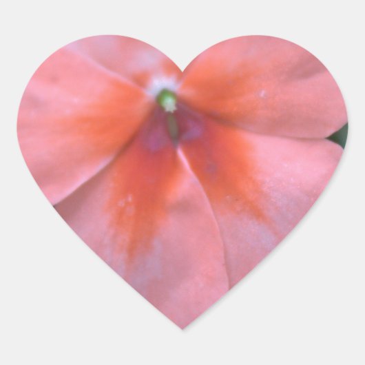 Mooie roze tuinbloemen. Floral foto Hart Sticker (Voorkant)