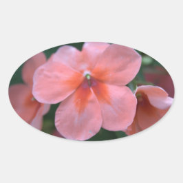 Mooie roze tuinbloemen. Floral foto Ovale Sticker