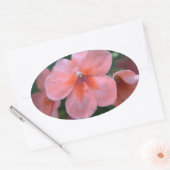 Mooie roze tuinbloemen. Floral foto Ovale Sticker (Envelop)