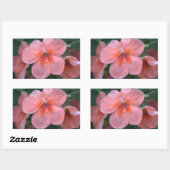 Mooie roze tuinbloemen. Floral foto Rechthoekige Sticker (Vel)