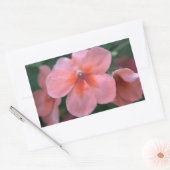 Mooie roze tuinbloemen. Floral foto Rechthoekige Sticker (Envelop)