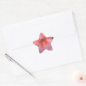 Mooie roze tuinbloemen. Floral foto Ster Sticker (Envelop)