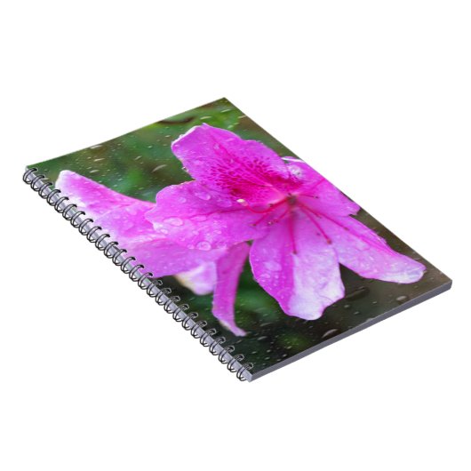 Mooie roze tuinbloemen met regendruppels. notitieboek (Rechterzijde)