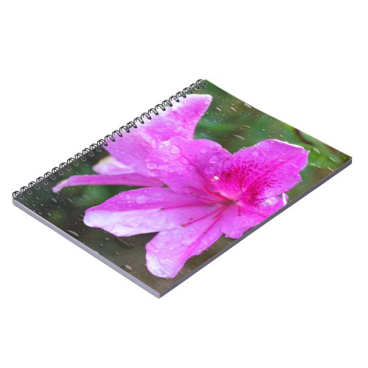 Mooie roze tuinbloemen met regendruppels. notitieboek (Linkerzijde)