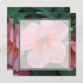 Mooie roze tuinen bloemen blanco bruiloft, feest, kaart (Voorkant / Achterkant)