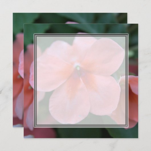 Mooie roze tuinen bloemen blanco bruiloft, feest, kaart (Voorkant / Achterkant)