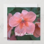 Mooie roze tuinen bloemen blanco bruiloft, feest, kaart (Achterkant)