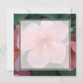 Mooie roze tuinen bloemen blanco bruiloft, feest, kaart (Voorkant)