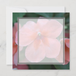 Mooie roze tuinvloeien blanco trouwen, feest, kaart