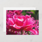 Mooie roze tulp sluit het Briefkaart van de verjaa (Voorkant / Achterkant)