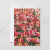 Mooie Roze Tulp Tuin Valentijnsdag Kaart (Achterkant)