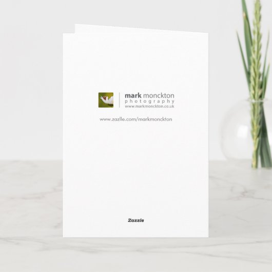 Mooie Roze Tulp Verjaardag Kaart (Achterkant)