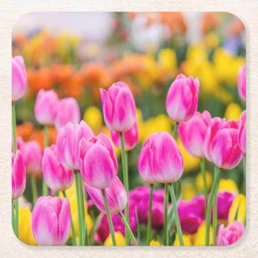 Mooie roze tulpen kartonnen onderzetters (Voorkant)