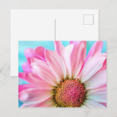 Mooie roze ventilator Sluiten Foto Briefkaart (Voorkant / Achterkant)