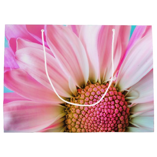 Mooie roze ventilator Sluiten Foto Groot Cadeauzakje (Achterkant)