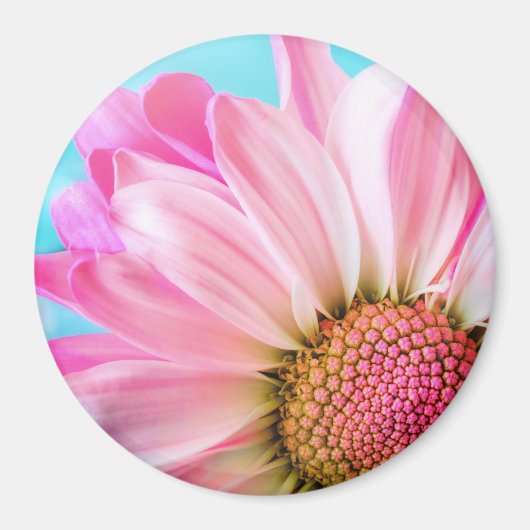 Mooie roze ventilator Sluiten Foto Magneet (Voorkant)