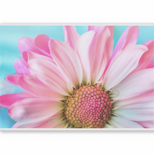 Mooie roze ventilator Sluiten Foto Sticker (Voorkant)