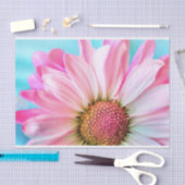 Mooie roze ventilator Sluiten Foto Tissuepapier (Craft)