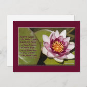 Mooie roze waterLily op Lily Pads Briefkaart (Voorkant / Achterkant)