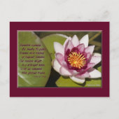 Mooie roze waterLily op Lily Pads Briefkaart (Voorkant)