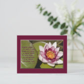 Mooie roze waterLily op Lily Pads Briefkaart (Staand voorkant)