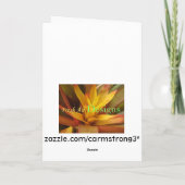 Mooie Roze Wenskaart Dianthus Bedankkaart (Achterkant)