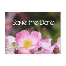 mooie roze wilde roos bloem trouw save the date