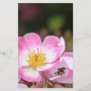 mooie roze wilde roos bloemen voor dames briefpapier