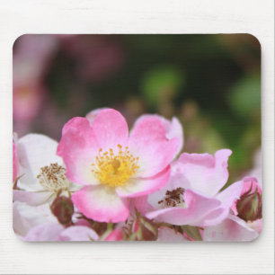 mooie roze wilde roos bloemen voor dames muismat